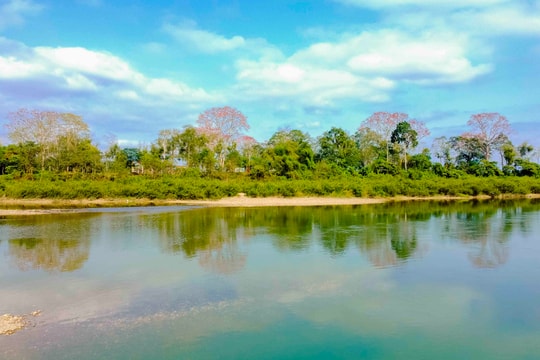 Dự báo thời tiết ngày 18/3: Gió đông bắc cấp 2 - cấp 3, đêm và sáng sớm trời chuyển rét