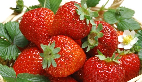 Ăn dâu tây mỗi ngày có tốt không?