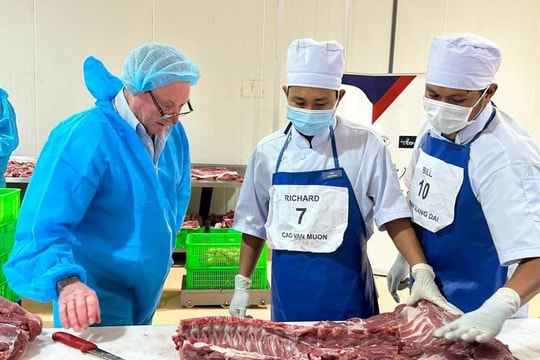 Những vấn đề lao động Nghệ An muốn sang Úc làm việc cần quan tâm 