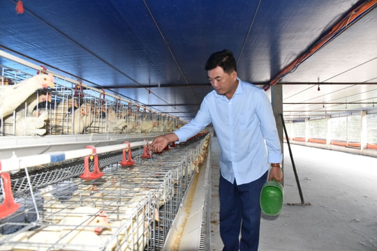 Cán bộ mặt trận ở Nghi Lộc năng động phát triển kinh tế