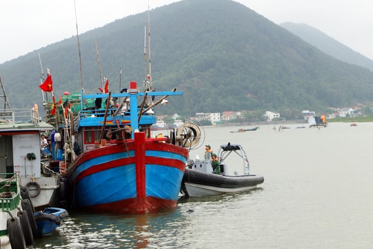 Nghệ An yêu cầu triển khai các giải pháp cấp bách kiểm tra hoạt động khai thác IUU