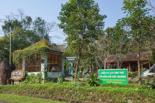 Hòa mình vào tour du lịch sinh thái tại Vườn thực vật Quảng Bình