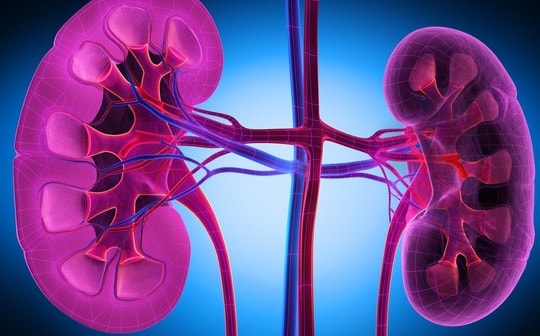 Suy thận mạn là gì? Suy thận có mấy giai đoạn