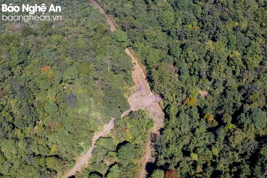 Tỷ lệ che phủ rừng của Nghệ An đạt gần 60%