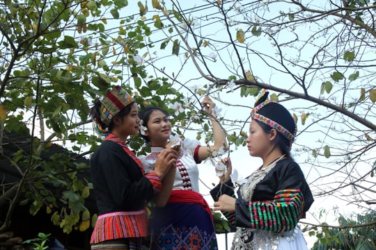 Xao xuyến mùa hoa ban trên miền biên viễn Nghệ An