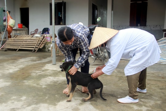 Theo chân cán bộ thú y đi tiêm phòng vắc xin cho đàn vật nuôi 