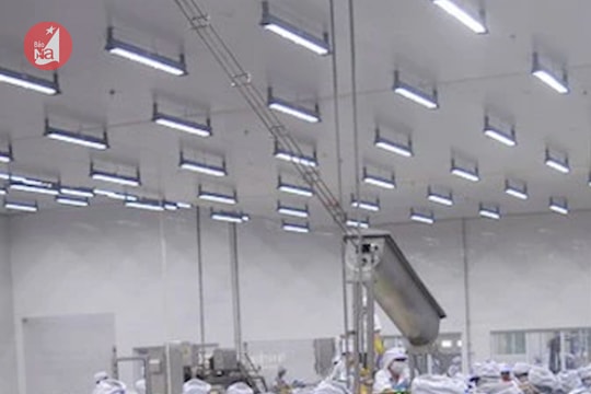 Điểm tin ngày 31/3