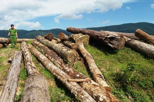 Hành vi vi phạm quy định về khai thác, bảo vệ rừng và lâm sản bị phạt tù mức cao nhất là bao nhiêu năm?