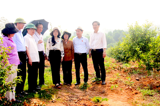 Đoàn công tác của Quốc hội giám sát việc triển khai thực hiện Dự án Hồ chứa nước Bản Mồng 