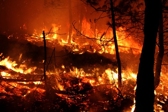 Nghệ An chỉ đạo tăng cường các biện pháp phòng cháy, chữa cháy rừng 