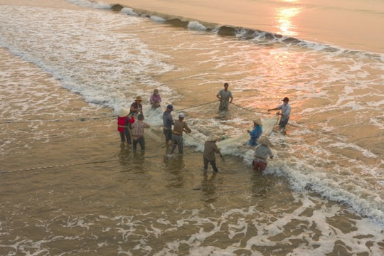 Ngư dân Nghệ An vào mùa kéo lưới rùng