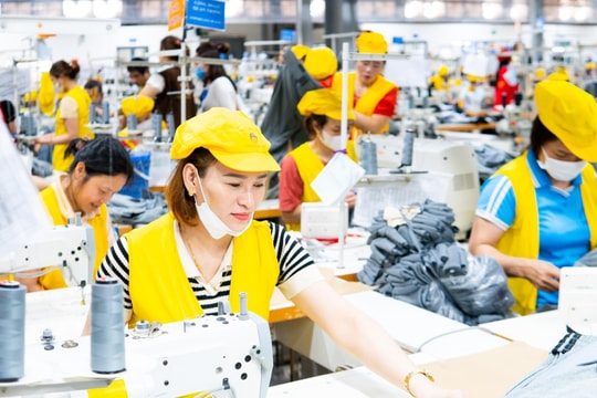 Số vốn đăng ký của doanh nghiệp thành lập mới tại Nghệ An tăng cao