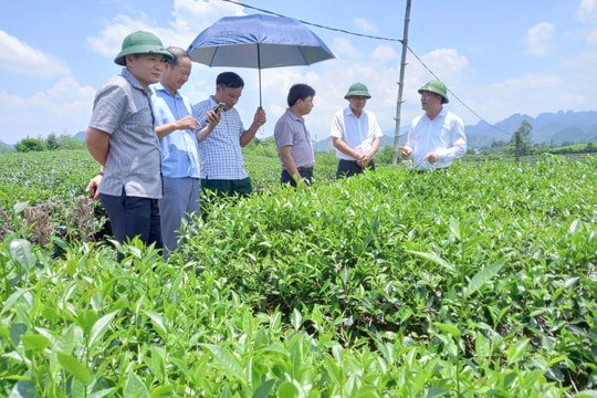  Học tập và làm theo Bác, huyện Anh Sơn đề cao tính nêu gương của cán bộ, đảng viên
