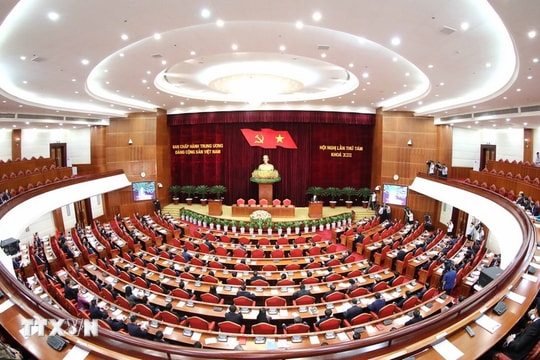 Công tác nhân sự của Đảng: Những bài học đắt giá khi 'thấy đỏ tưởng chín'