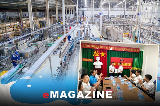 Phía sau những ly sữa...