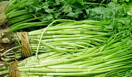 Món ăn bài thuốc hỗ trợ điều trị chứng hoa mắt chóng mặt