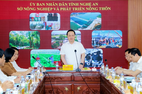 Giao Sở Nội vụ và Sở Nông nghiệp & Phát triển nông thôn tìm phương án tháo gỡ khó khăn, vướng mắc cho 10 lao động trên tàu Kiểm ngư