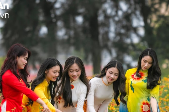 Check-in cùng loài hoa đặc trưng của phố biển Cửa Lò