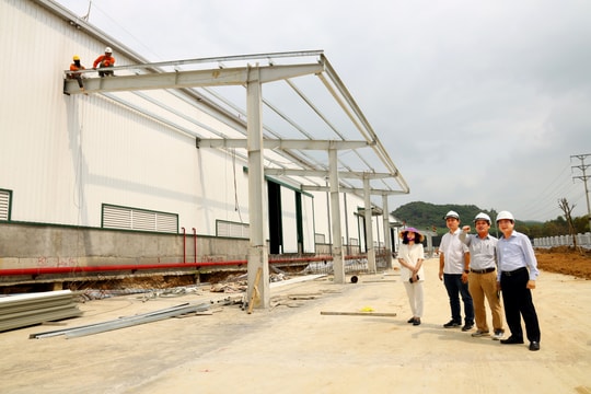 Thu hút đầu tư ở Nghĩa Đàn trong bối cảnh phát triển vùng Tây Bắc và Bắc Nghệ An