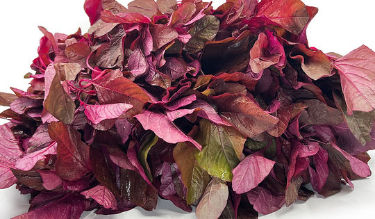 Rau dền, 'siêu' protein nhưng ai không nên ăn?