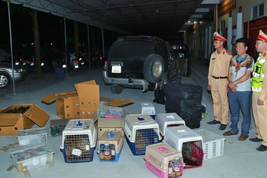 Bắt vụ vận chuyển trái phép hơn 420 cá thể động vật hoang dã quý hiếm