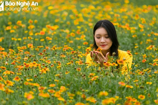 Dự báo thời tiết ngày 18/4 tại tỉnh Nghệ An