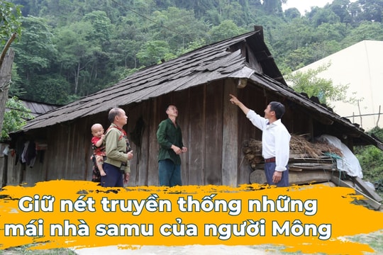 Giữ nét truyền thống những mái nhà samu của người Mông