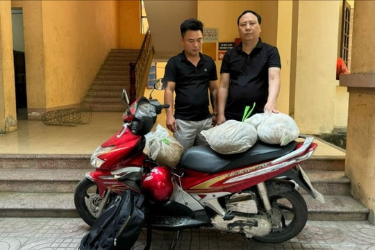 Bắt 2 đối tượng vận chuyển trái phép động vật quý hiếm