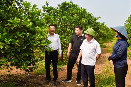 Phó Chủ tịch UBND tỉnh Nguyễn Văn Đệ đề nghị Nghĩa Đàn đẩy nhanh tiến độ hoàn thành các tiêu chí huyện nông thôn mới