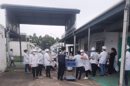 Sớm phối hợp giải quyết vụ ngừng việc tập thể tại công ty điện tử BSE