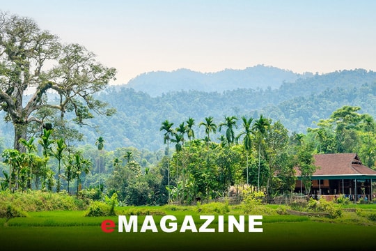 Có một miền xanh Diên Lãm