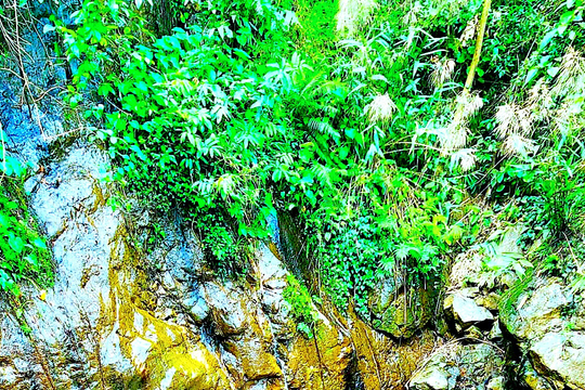 Độc đáo khe suối không bao giờ cạn ở Kỳ Sơn