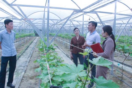 Cần có sự thống nhất về cơ cấu tổ chức bộ máy HĐND cấp huyện và chế độ kiêm nhiệm ở cấp xã