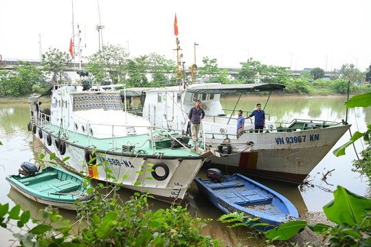 Xung quanh việc 10 lao động trên tàu kiểm ngư bị dừng hợp đồng: Từng bước gỡ khó!