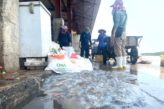 Giật mình 'mục sở thị' ô nhiễm ở cảng cá Lạch Vạn (Diễn Châu) 