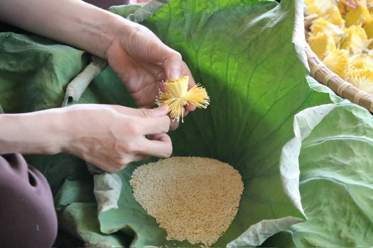 Độc đáo sản phẩm Trà ướp gạo sen của Nam Đàn