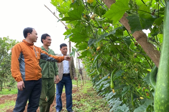 Nghĩa Đàn đưa việc học tập và làm theo gương Bác trở thành việc làm thường xuyên