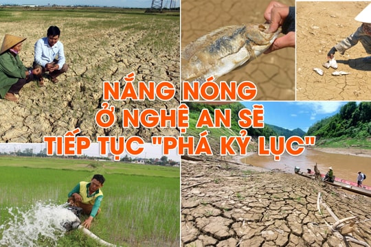 Dự báo thời tiết cực đoan ở Nghệ An năm 2024