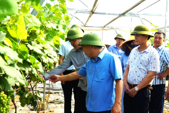 Đẩy mạnh ứng dụng công nghệ cao vào sản xuất nông nghiệp