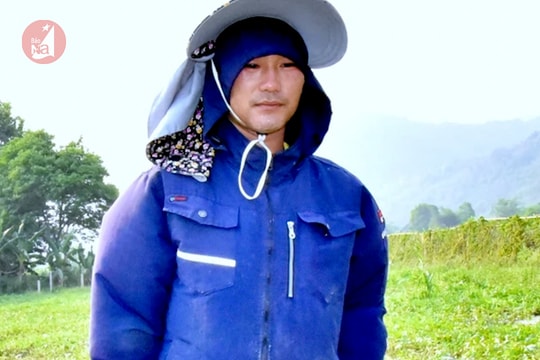 Dưa hấu ở huyện rẻo cao Tương Dương đắt khách