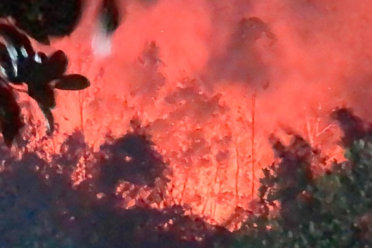 Cảnh báo cháy rừng lên cấp cực kỳ nguy hiểm ở Nghệ An