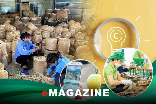 Phát triển tài sản trí tuệ: Hiệu quả lâu dài và lan tỏa