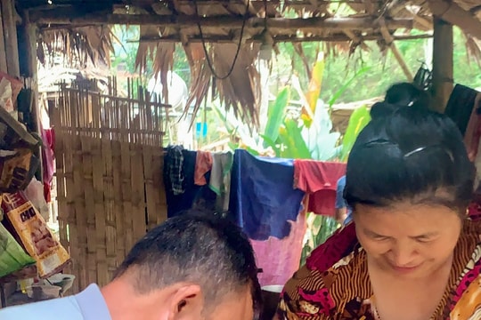 Người dân Tương Dương vào rừng tìm ‘ngọc trắng’ 