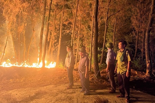Phó Chủ tịch UBND tỉnh Nguyễn Văn Đệ trực tiếp chỉ đạo dập lửa rừng ở Nam Đàn 