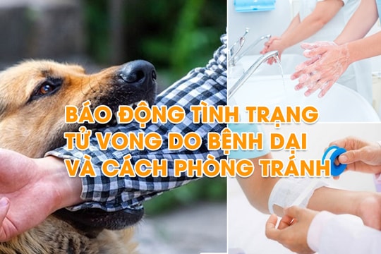 Báo động tình trạng tử vong do bệnh dại và cách phòng tránh 