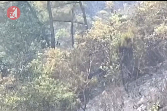 Hình ảnh mới nhất vụ cháy rừng ở Nam Đàn