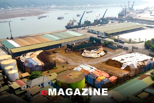 Tăng cường giám sát hoạt động bảo vệ môi trường tại Cảng Cửa Lò