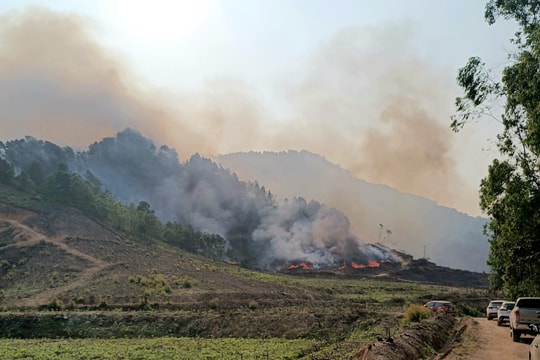 Triệu tập 4 đối tượng, bước đầu xác định nguyên nhân vụ cháy rừng tại Thanh Chương