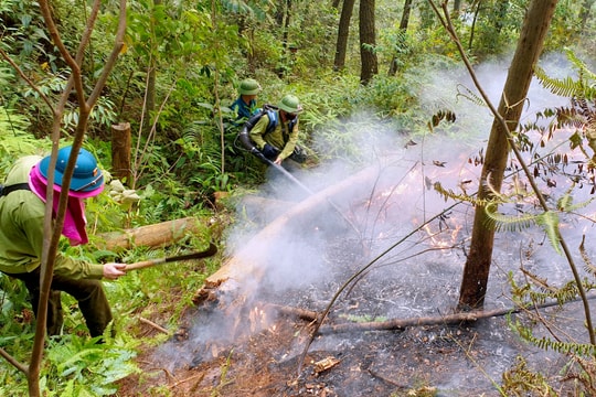 Công điện của Thủ tướng chỉ đạo quyết liệt triển khai các biện pháp phòng cháy, chữa cháy rừng