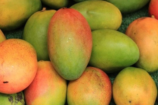 Những lợi ích bất ngờ khi bạn ăn xoài mỗi ngày